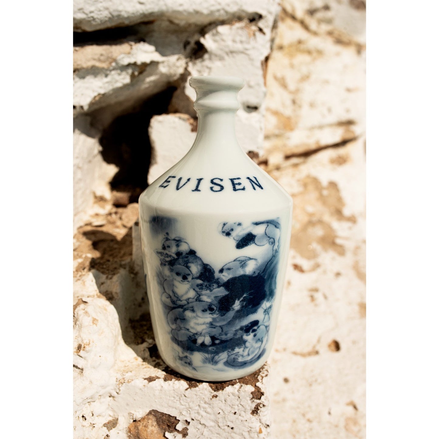 EVISEN x PASS~PORT SAKE SET