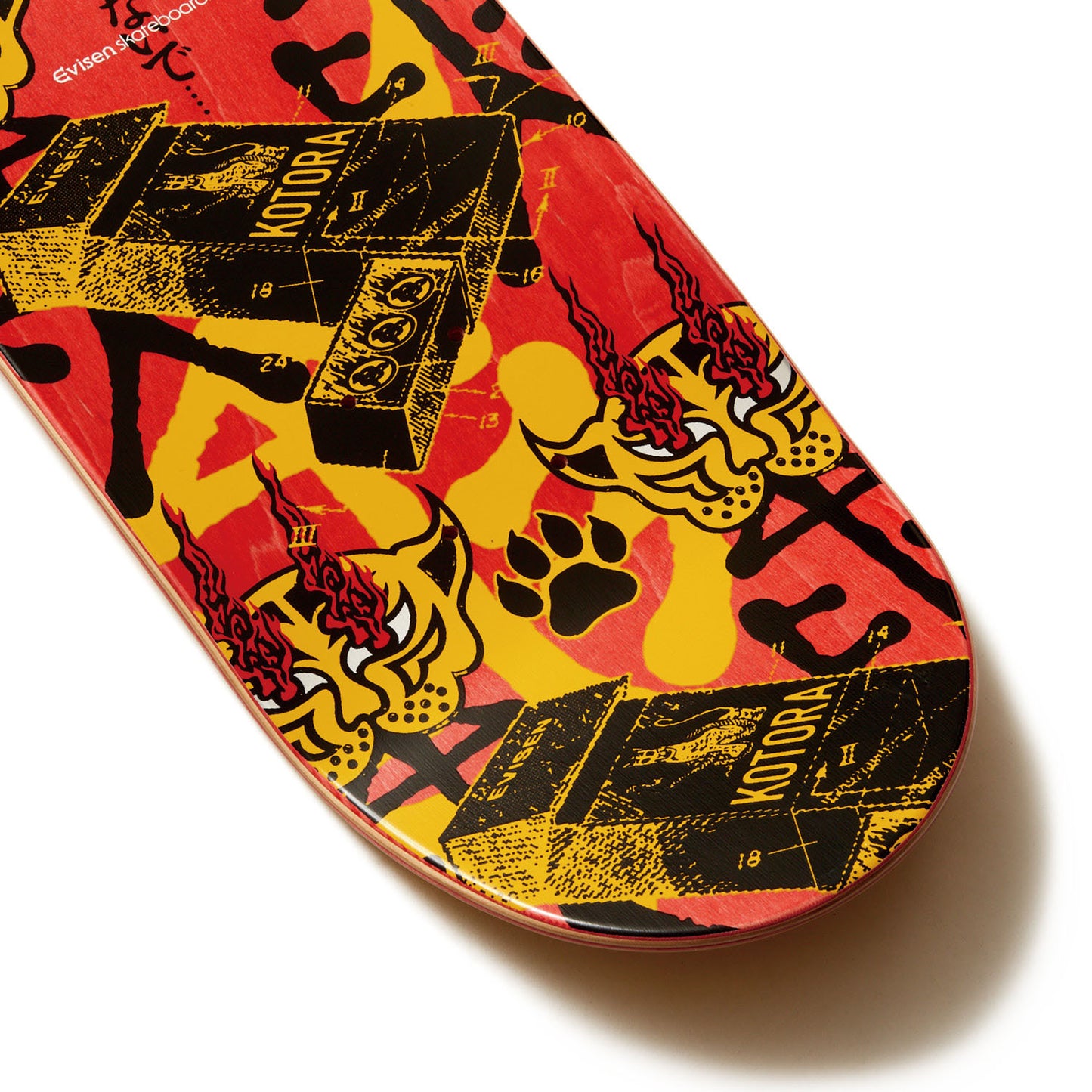 KOTORA MITANI / TORA FIRE