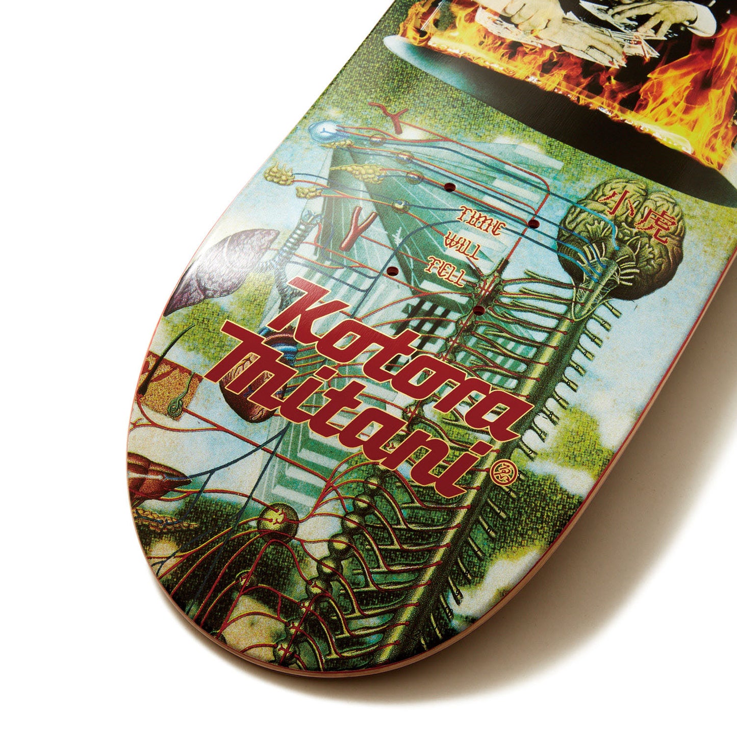 KOTORA MITANI / TIME WILL TELL