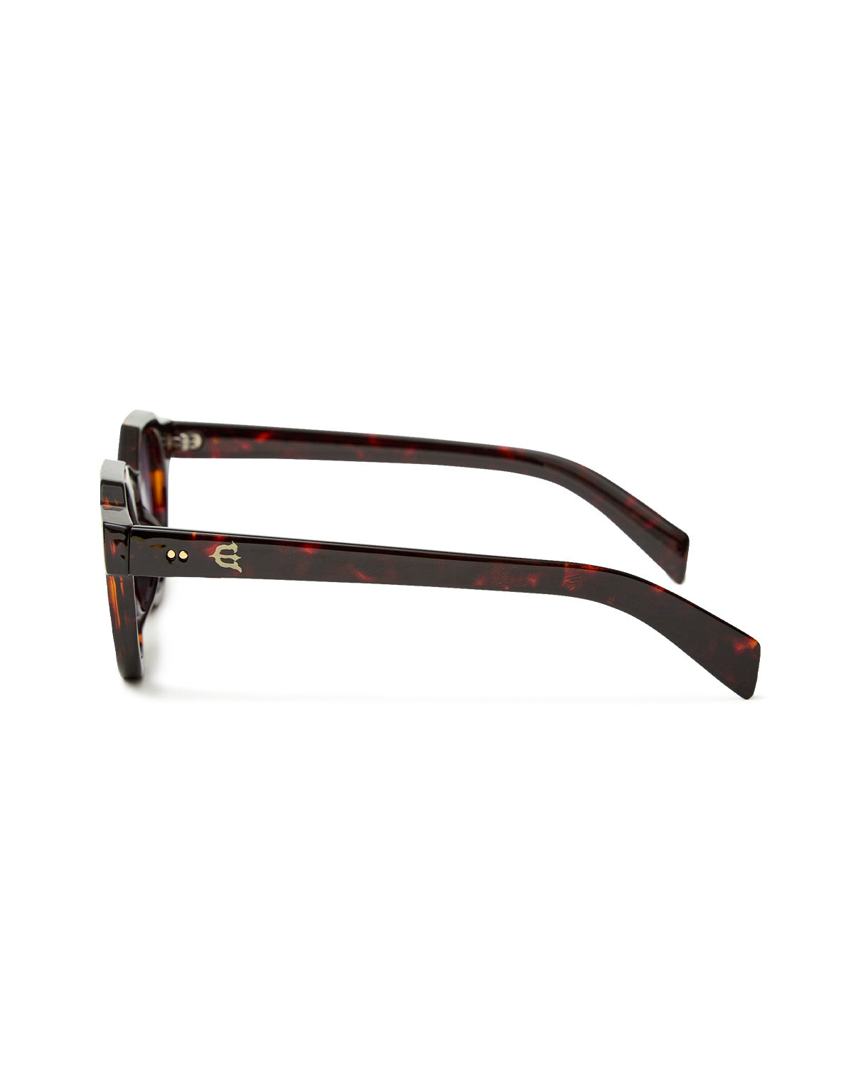 EVI SUNGLASSES - TORTOISESHELL