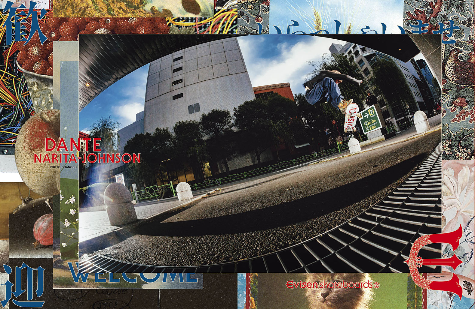 動画を読み込む: 