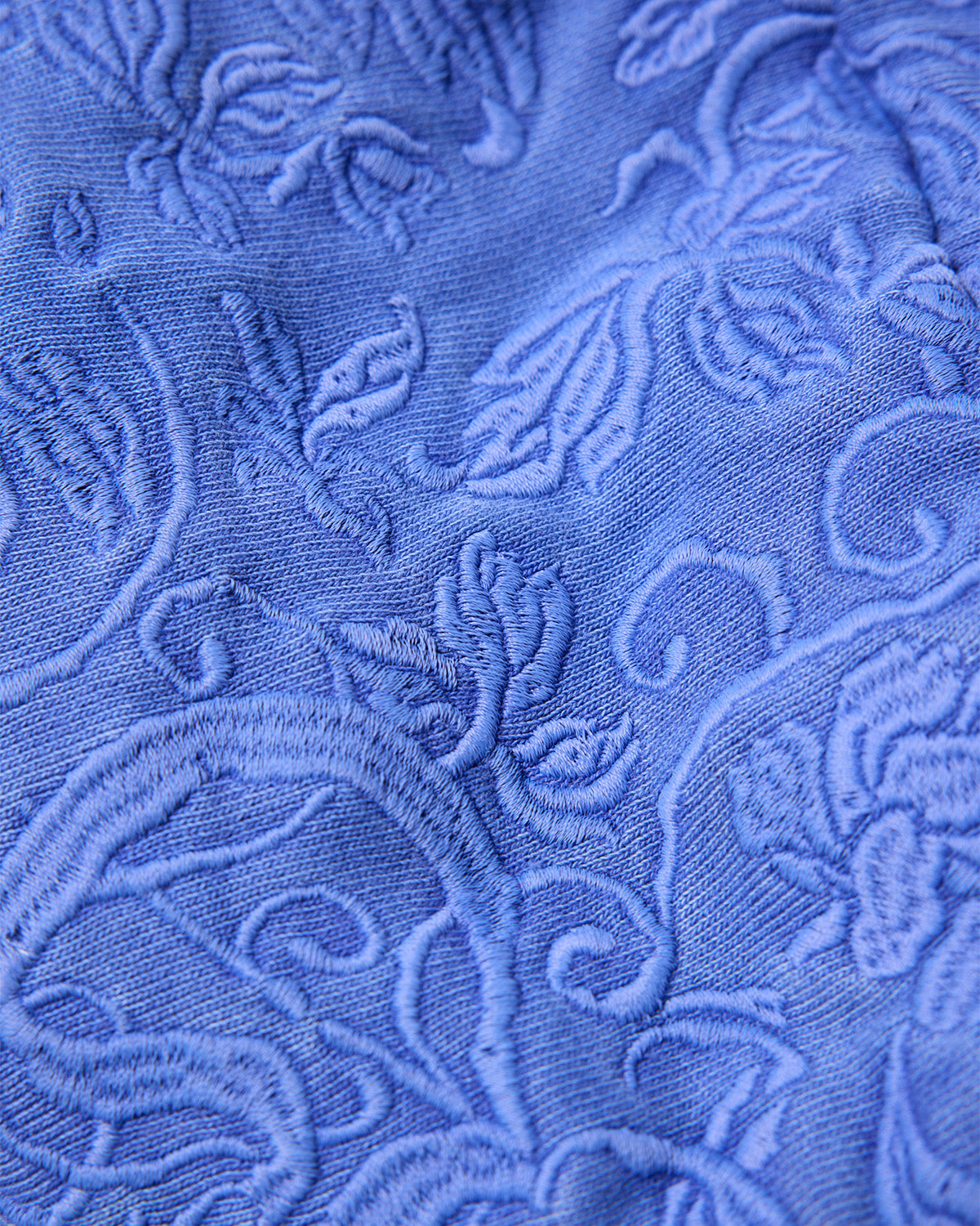 DELUXE x EVISEN BOTANIC HOODIE - BLUE – Evisen Skateboards ゑ