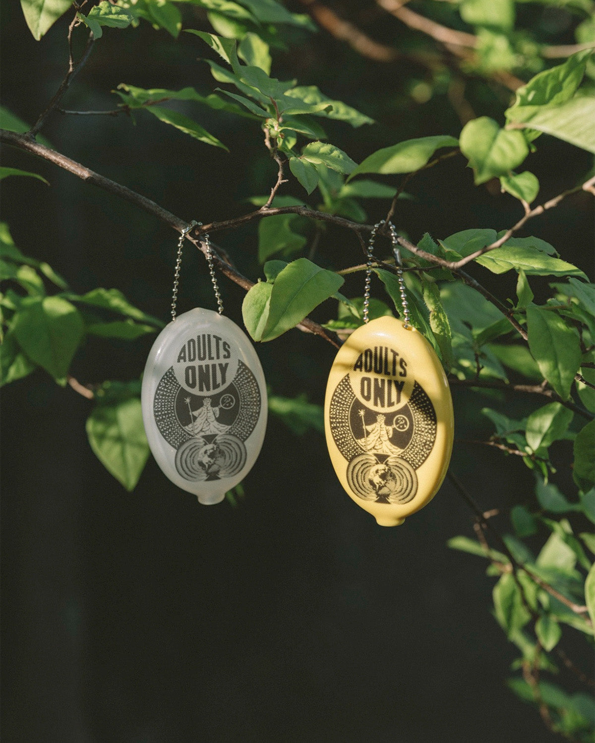 ADULTS ONLY COIN CASE